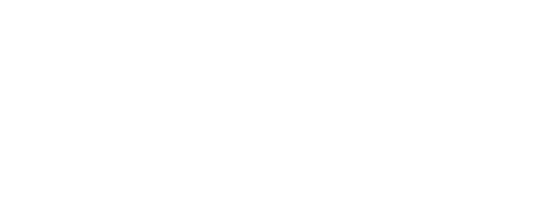 Enjoy appealing activities such as interacting with whales!