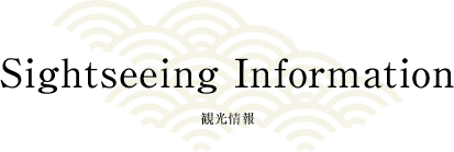 Sightseeing Information