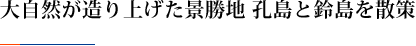 大自然が造り上げた景勝地 孔島と鈴島を散策